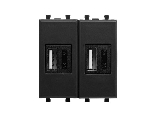 USB зарядное устройство модульное, "Avanti", "Черный матовый", 2 модуля 4412542 USB зарядное устройство модульное, "Avanti", "Черный матовый", 2 модуля ДКС | DKC